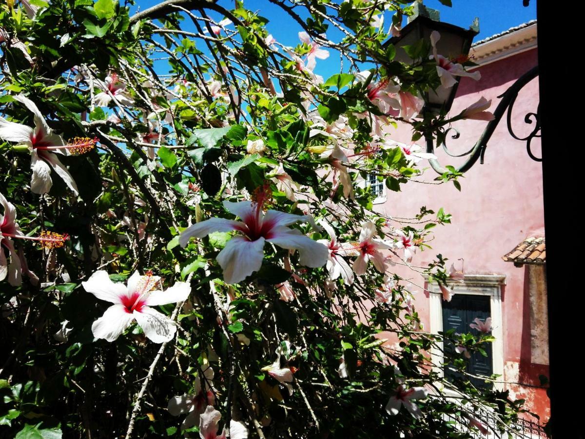 Venetian Well Cozy Apartment Corfu Old Town Eksteriør billede
